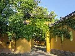 -西园戒幢律寺