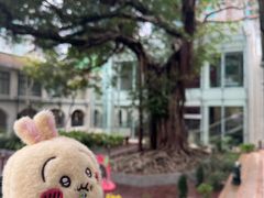 -九龙公园