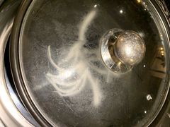 椰青锅底-润泽园海南椰子鸡·糟粕醋火锅(拱北店)