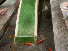 -湊湊火锅·茶憩(石家庄万象城店)