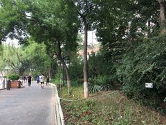 -文瀛公园