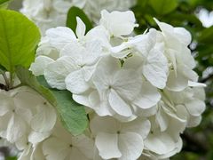 -白塘生态植物园