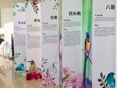 景点-上海长江河口科技馆