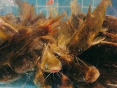 -韩胜·料理级自助烤肉海鲜火锅(财富港店)