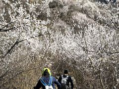 -龙泉峪长城