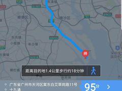 -大湾区中央湿地公园-十九涌