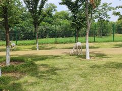 -江苏三台山国家森林公园