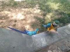 -石家庄市动物园