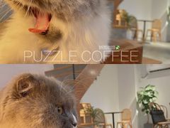 -PUZZLE COFFEE 拼图咖啡