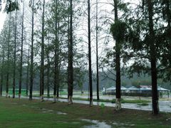 -黄海国家森林公园