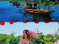 -白洋淀景区