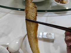 -寻味顺德·南记酒家·传统顺德菜·鱼生(广源路店)
