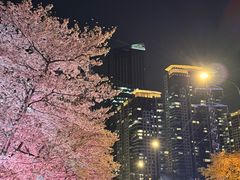 -西北湖绿化广场