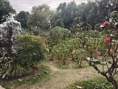 -东湖落雁景区
