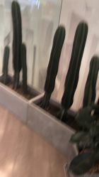 -ON STAR SALON