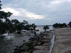 -宝安西湾红树林湿地公园