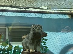 -青藏高原野生动物园