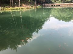 -缙云山景区