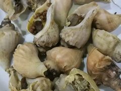 -张树军海鲜(王府壹号店)