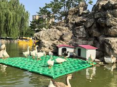 -团结湖公园