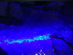 -大润发(王庄店)