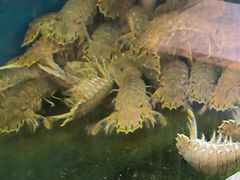 -小铜锣湾海鲜家常菜馆(河西店)