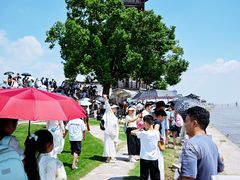 -观潮胜地公园