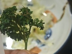-金龙咖喱
