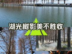 -东湖落雁景区