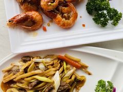-云中小雅