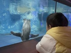 -太平洋海底世界