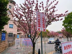 -嘉定紫藤园