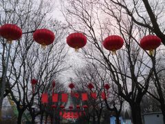 -朝阳公园
