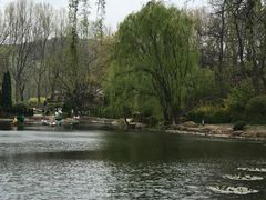 -棒棰岛宾馆景区