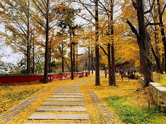 -阳台山自然风景区