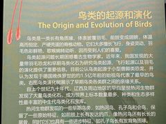 -辽宁古生物博物馆