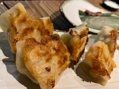 煎饺-TINY