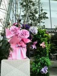 -圣贝拉母婴护理中心(深圳莱佛士店)