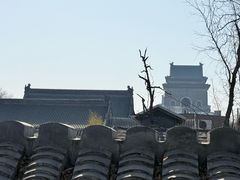 -丽江庭院·云南野生菌·海鲜火锅(鼓楼四合院店)