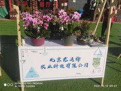 -北京呀路古热带植物园