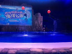 -华夏文旅海洋公园