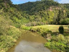 -南宁良凤江国家森林公园