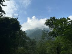 -九寨沟-树正沟