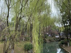 -東大方(海宁海昌路店)