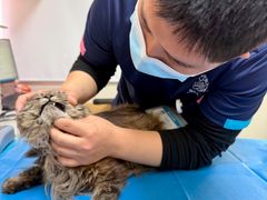 -美联众合动物医院·24h京西诊疗中心