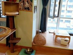 靠窗位-MOYOYO猫咪咖啡店