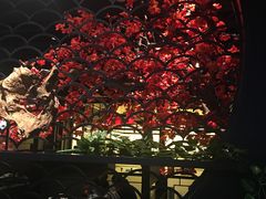 景观位-捞王猪肚鸡火锅(财富中心店)