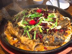 -老板恋上鱼(恒隆广场店)