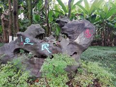 -重庆彩云湖湿地公园