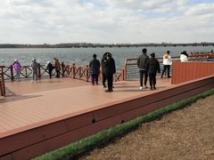 -丁香湖公园